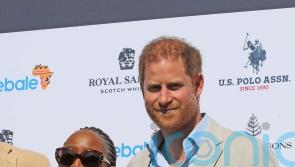 Harry ‘sent unpleasant message’ to Sentebale charity’s boss