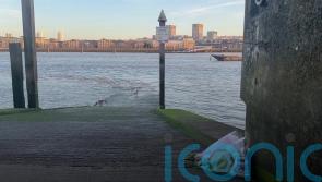 Girl missing in Thames named as search continues