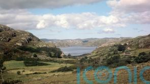 Wildlife body warns over progress on nature recovery