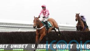 Jango Baie ready for Manifesto test following last-gasp Arkle success