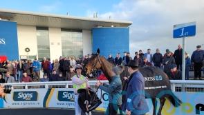 Gaelic Warrior reunited with Patrick Mullins for Bowl battle