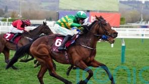 Puturhandstogether and Naturally Nimble flying flag for O&rsquo;Brien