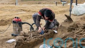 Vienna archaeologists reveal mass grave of fighters in Roman Empire-era battle