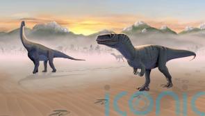 Dinosaur predator and prey drank together from lagoons on Isle of Skye – study