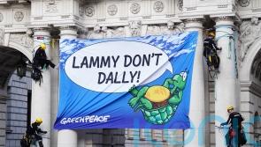 Four Greenpeace activists arrested after climbing Foreign Office building