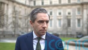 Need for ‘maturity’ in EU-US talks on tariffs, Harris says