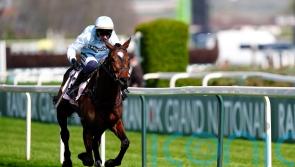 Murcia dominates for Mullins and Townend