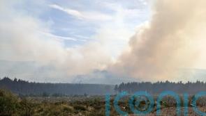 Crews battling large wildfire in Galloway Forest Park