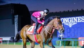 Forever Young primed for Dubai World Cup challenge