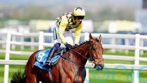 Straightforward for Salvator Mundi at Aintree