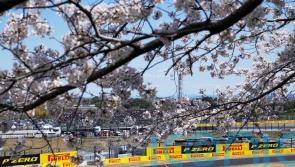 Grass fires again disrupt Japanese Grand Prix practice as Lando Norris sets pace