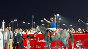 Hit Show flies home to deny Dettori Dubai World Cup joy