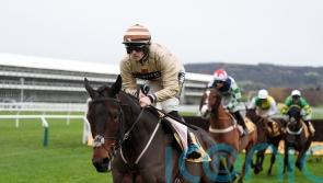 Broadway Boy homeward bound and ‘should be OK’