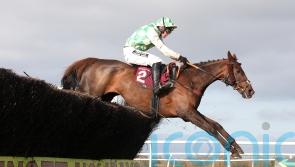 Celebre d’Allen ‘looking much brighter in himself’ after night at Aintree