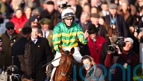 Inothewayurthinkin plans depend on Punchestown conditions