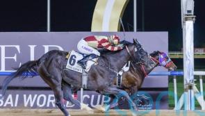 Osborne gives Heart Of Honor Kentucky Derby option