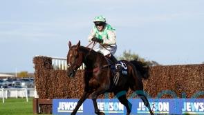 Death announced of Grand National runner Celebre d’Allen