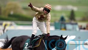 National faller Broadway Boy &lsquo;looking brighter each day&rsquo;