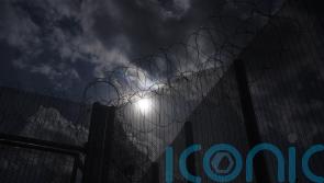 Dozens of inmates released early broke rules while in prison, figures show