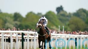 Al Qareem collects Further Flight honours at Nottingham