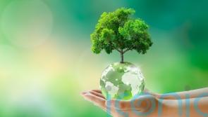 Sustainable upgrades for a greener home to salute World Earth Day
