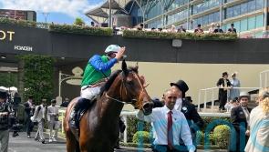 Greenham run likely to define Rashabar’s Classic target