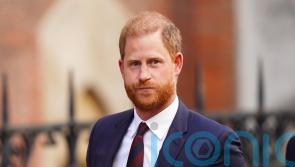 Harry says ‘people would be shocked’ by private evidence in security appeal