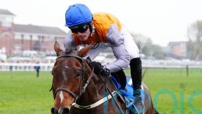 National service resumed for Mullins with one-two at Ayr