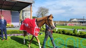 Galen gets the better of Jan Brueghel at the Curragh