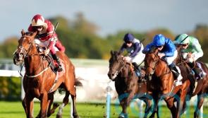 Bin Suroor planning dual Guineas challenge