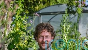 Why weeds are worth cultivating – and eating