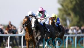 Nightwalker expected to relish stepping up in trip for Feilden