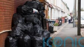 Man whose Mercedes was destroyed by rats ‘disappointed’ bin strike continuing