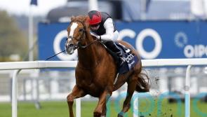 Arc tilt could be on the agenda for Kyprios this term