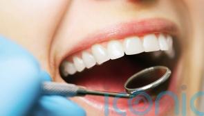 Scientists successfully grow teeth in a lab
