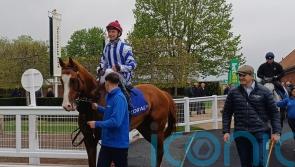 Seagulls Eleven where Palmer wants him for 2000 Guineas bid