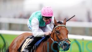 Zanzoun dazzles with smart Nell Gwyn victory