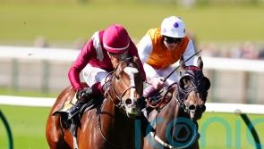 Sajir strikes for master trainer Fabre on the Rowley Mile