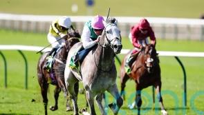 Field Of Gold produces dazzling Craven display