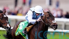 High Stock pleases with winning Wood Ditton debut