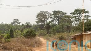 Climate change will destroy cocoa yields by 2030 without support, farmers warn