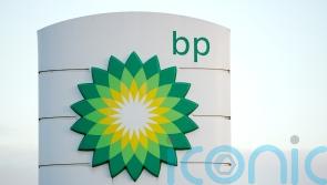 Major shareholder revolt against BP chairman amid climate clash
