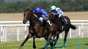 French Guineas the target for Craven runner-up Aomori City