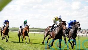 Pellitory picks up nice Newmarket prize – and set for bigger things