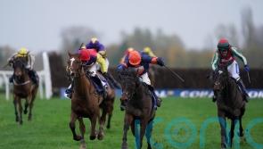 Le Milos carrying Skelton hopes into battle at Haydock