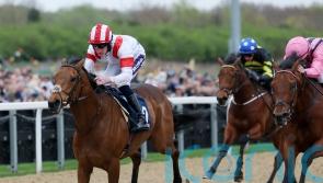 Glittering Legend floors Bowmark in Burradon Stakes