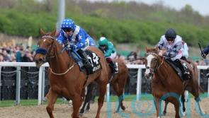 Heavenly Heather springs 200-1 shock at Newcastle