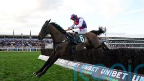 Welsh raider Haiti Couleurs heads Irish National betting