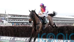 Haiti Couleurs primed for Irish National service