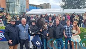 I’m Slippy makes no mistakes in Fairyhouse bumper